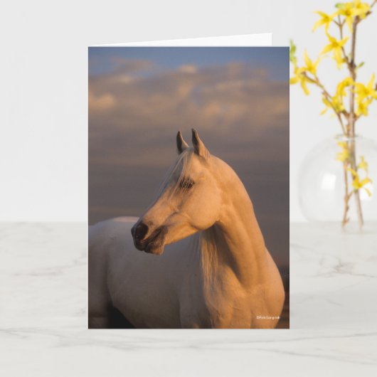 Bob Langrish | Grau-Arabischer Headshot-Abend Karte (Gelbe Blume)