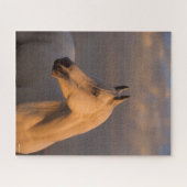 Bob Langrish | Grau-Arabischer Headshot-Abend Puzzle (Horizontal)