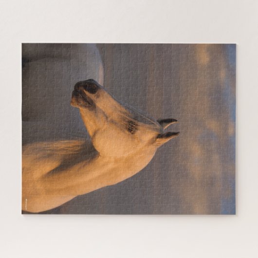 Bob Langrish | Grau-Arabischer Headshot-Abend Puzzle (Horizontal)