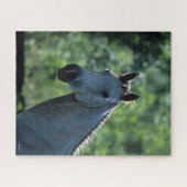 Bob Langrish Grau Niederländisch Warmblut Kopfsonn Puzzle (Horizontal)