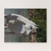 Bob Langrish | Grauarabische Haltung im Meer Puzzle (Horizontal)