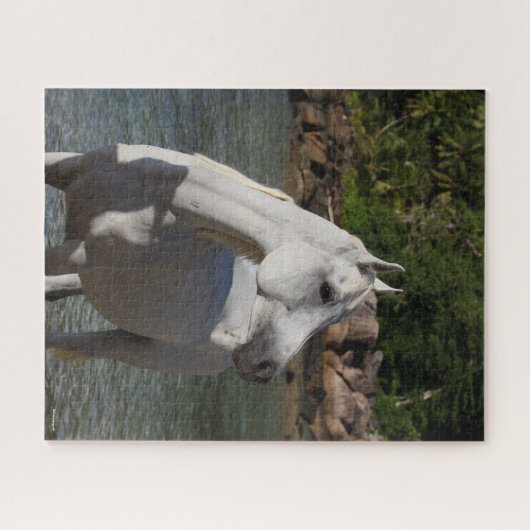 Bob Langrish | Grauarabische Haltung im Meer Puzzle (Horizontal)