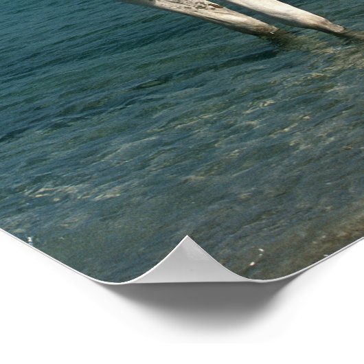 Bob Langrish | Grauarabischer Stehend im Meer Poster (Ecke)