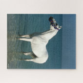 Bob Langrish | Grauarabischer Stehend im Meer Puzzle (Horizontal)