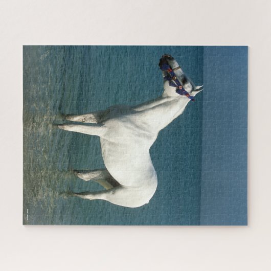 Bob Langrish | Grauarabischer Stehend im Meer Puzzle (Horizontal)