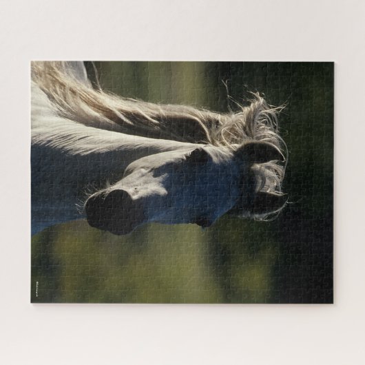 Bob Langrish | Graue andalusische Headshot Backlit Puzzle (Horizontal)