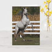 Bob Langrish | Graue andalusische Hengstzucht Karte (Gelbe Blume)