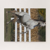 Bob Langrish | Graue andalusische Hengstzucht Puzzle (Horizontal)