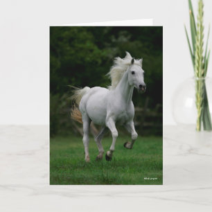 Bob Langrish   Graue arabische Running Mane Flows Karte