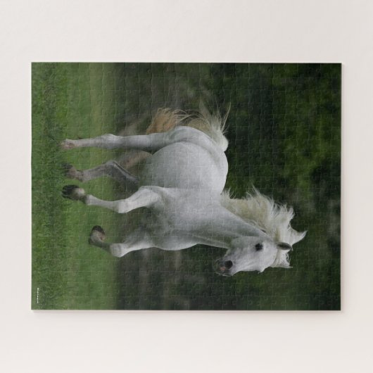 Bob Langrish | Graue arabische Running Mane Flows Puzzle (Horizontal)