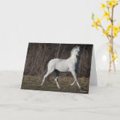 Bob Langrish | Grauer andalusischer Hengst Wandern Karte (Gelbe Blume)