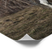 Bob Langrish | Grauer andalusischer Hengst Wandern Poster (Ecke)