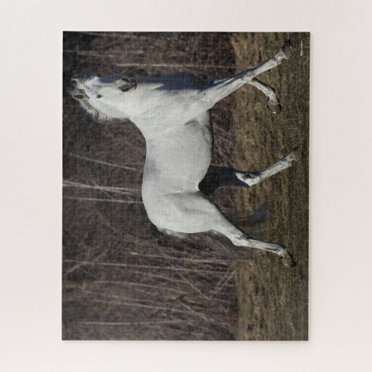 Bob Langrish | Grauer andalusischer Hengst Wandern Puzzle (Vertikal)