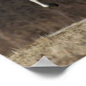 Bob Langrish | Grauer andalusischer Running Poster (Ecke)