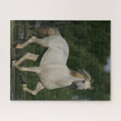 Bob Langrish | Grauer andalusischer Running Puzzle (Horizontal)