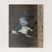 Bob Langrish | Grauer andalusischer Running Puzzle (Vertikal)