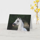 Bob Langrish | Grauer andalusischer Stallion Heads Karte (Gelbe Blume)