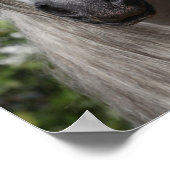 Bob Langrish | Grauer andalusischer Stallion-Heads Poster (Ecke)