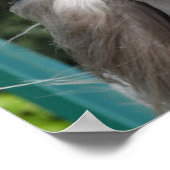 Bob Langrish | Grauer andalusischer Stallion Heads Poster (Ecke)