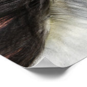 Bob Langrish | Grauer andalusischer Stallion Heads Poster (Ecke)