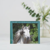 Bob Langrish | Grauer andalusischer Stallion Heads Postkarte (Stehend Vorderseite)