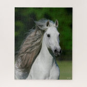Bob Langrish | Grauer andalusischer Stallion Heads Puzzle (Vertikal)