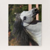 Bob Langrish | Grauer andalusischer Stallion Heads Puzzle (Vertikal)