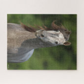 Bob Langrish | Grauer andalusischer Stallion Heads Puzzle (Horizontal)