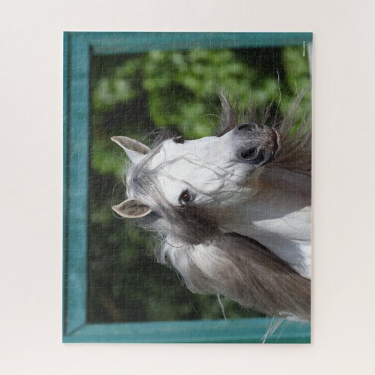 Bob Langrish | Grauer andalusischer Stallion Heads Puzzle (Vertikal)