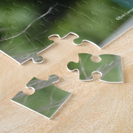 Bob Langrish | Grauer andalusischer Stallion Heads Puzzle (Seite)