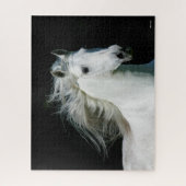 Bob Langrish | Grauer andalusischer Stallion Heads Puzzle (Vertikal)