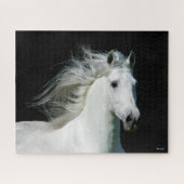 Bob Langrish | Grauer andalusischer Stallion Heads Puzzle (Horizontal)