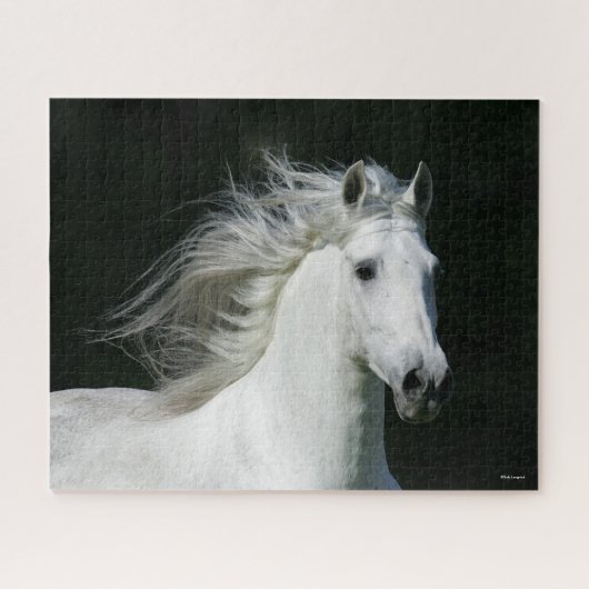 Bob Langrish | Grauer andalusischer Stallion Heads Puzzle (Horizontal)