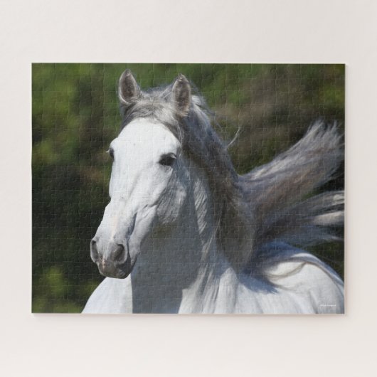 Bob Langrish | Grauer andalusischer Stallion Heads Puzzle (Horizontal)