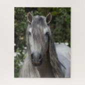 Bob Langrish | Grauer andalusischer Stallion-Heads Puzzle (Vertikal)