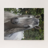 Bob Langrish | Grauer andalusischer Stallion-Heads Puzzle (Horizontal)