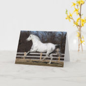 Bob Langrish | Grauer andalusischer Stallion Runni Karte (Gelbe Blume)