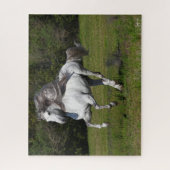 Bob Langrish | Grauer andalusischer Stallion Runni Puzzle (Vertikal)