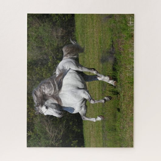 Bob Langrish | Grauer andalusischer Stallion Runni Puzzle (Vertikal)