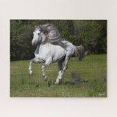 Bob Langrish | Grauer andalusischer Stallion Runni Puzzle (Horizontal)