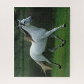 Bob Langrish | Grauer andalusischer Stallion Runni Puzzle (Vertikal)