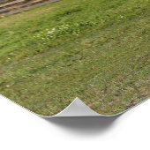 Bob Langrish | Grauer andalusischer Stallion sprin Poster (Ecke)