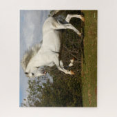 Bob Langrish | Grauer andalusischer Stallion sprin Puzzle (Vertikal)