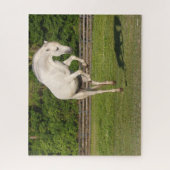 Bob Langrish | Grauer andalusischer Stallion sprin Puzzle (Vertikal)