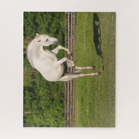 Bob Langrish | Grauer andalusischer Stallion sprin Puzzle (Vertikal)