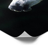 Bob Langrish | Grauer arabischer Headshot 3 Poster (Ecke)