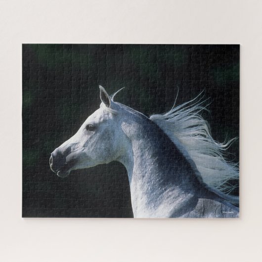 Bob Langrish | Grauer arabischer Headshot 3 Puzzle (Horizontal)