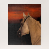 Bob Langrish | Grauer arabischer Headshot bei Suns Puzzle (Vertikal)