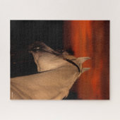 Bob Langrish | Grauer arabischer Headshot bei Suns Puzzle (Horizontal)