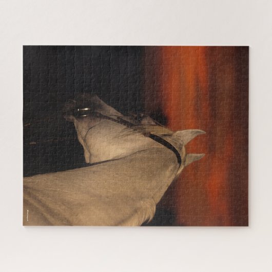 Bob Langrish | Grauer arabischer Headshot bei Suns Puzzle (Horizontal)